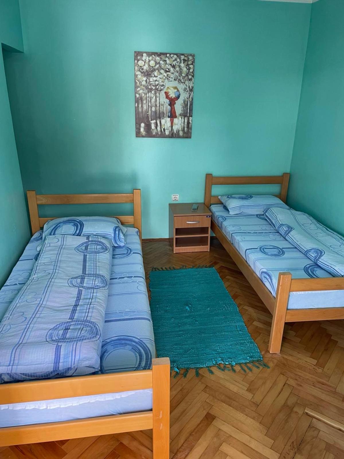 Banja Gornja Trepca-Smestaj Grof エクステリア 写真